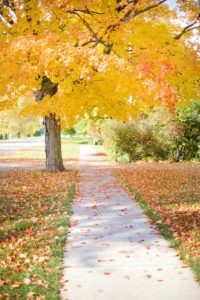 My girls are allowed to walk home alone on the fall sidewalk