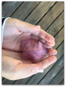 daughter, pink, leaf, fleeting