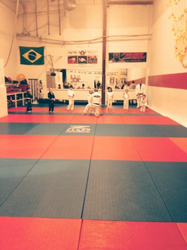 Brazilian Jiu-Jitsu Brought My Family Together