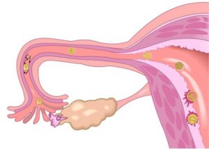 Reproductive health- essential knowledge