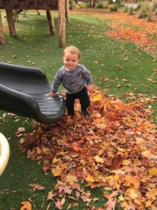 Remember Fall in the Park