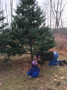 Cutting down a Christmas tree and creating our own holiday traditions.