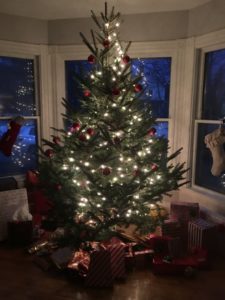 Many adult children of divorced parents chose to celebrate the holidays at home.