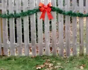 photo decorations for our holiday photos