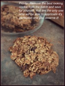 Perfect Breakfast Cookie