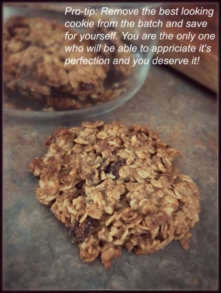 Recipe Post: Breakfast Cookies are Perfectly Acceptable Perfect Breakfast Cookie