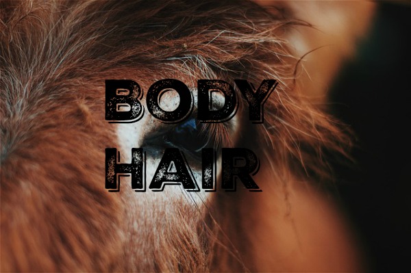 Body Hair- It Takes Me a Lot of Effort to not Look like a Wooly Mammoth! hairy animal with words "body hair"