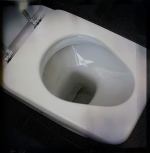 toilet bowl