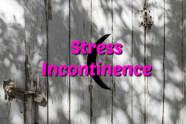Stress Incontinence: When Moms Accidentally Pee – Part Two outhouse door saying stress incontinence