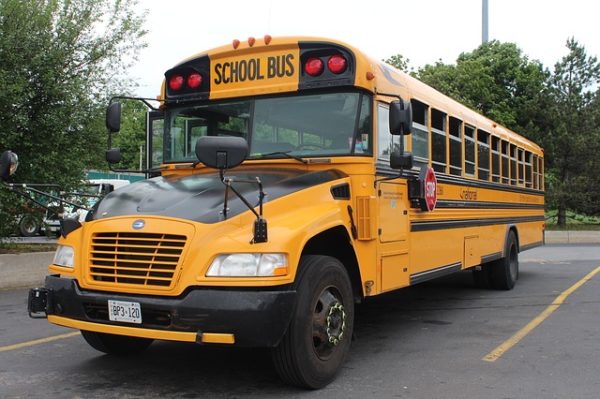 Chaperone 101: the Etiquette of Going on a Field Trip chaperone