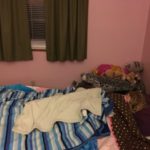 waking up, warm blankets