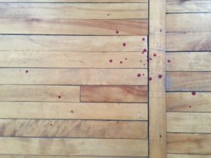 Blood on the floor from the founding members of my own Two Toddler Club.