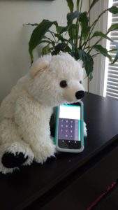 math loving polar bear