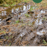 Spring in Vermont: Top 10 Signs It Has (Finally) Arrived