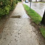 SpringSigns_3