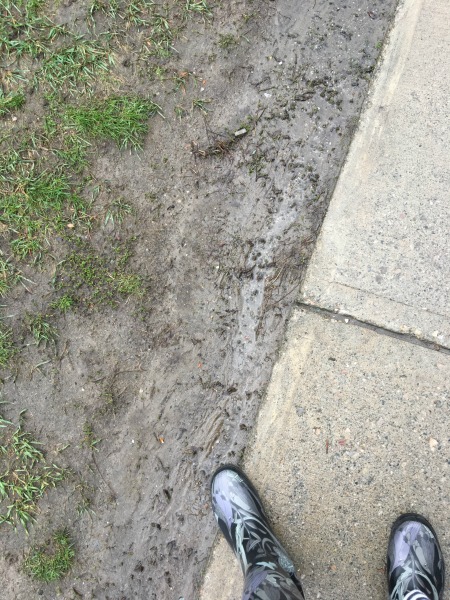 mud, mud season