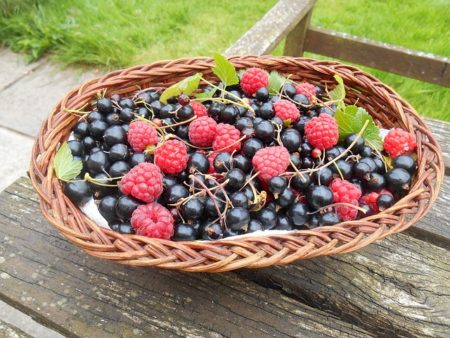 Fresh berries