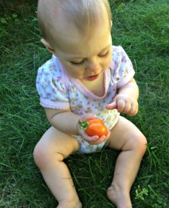 My daughter with a garden tomato to be used for cooking.