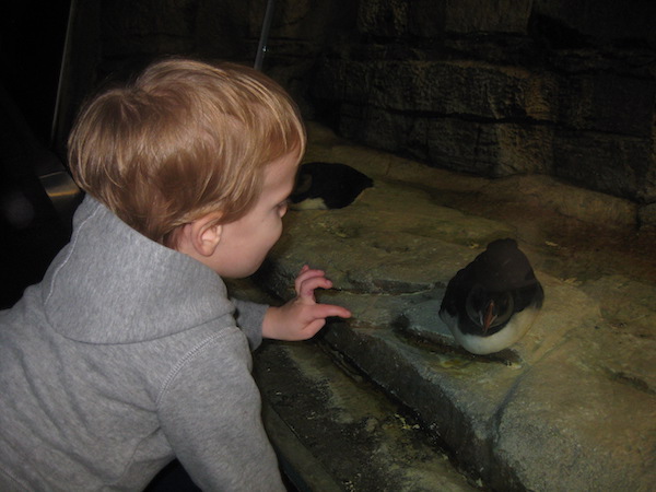 Child with penguin at Biodome in Quebec, Montreal