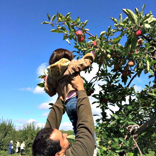 man, girl, apple tree