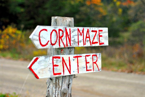 sign, corn maze, enter