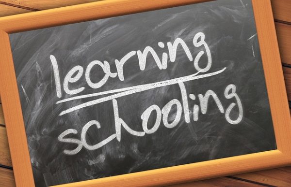 Homeschool Days For Our Public School Kids: Family Field Trips Learning and Schooling Written on a Chalkboard