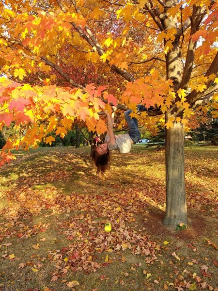 Eco Anxiety Part II: Fighting Global Climate Change trees are good for the planet