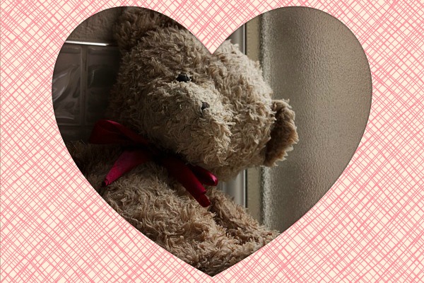 a giant teddy bear