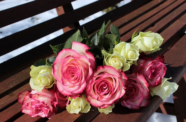 valentine's day, flowers, romance, roses