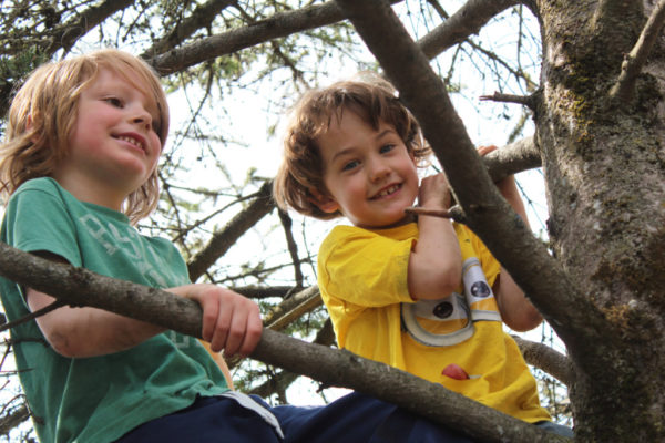 boys climbing a tree