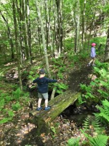 kids, hiking, summer off, outdoors, fun, plan free summer