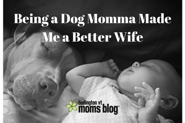 What Being a Dog Momma Taught Me about Being a Better Wife