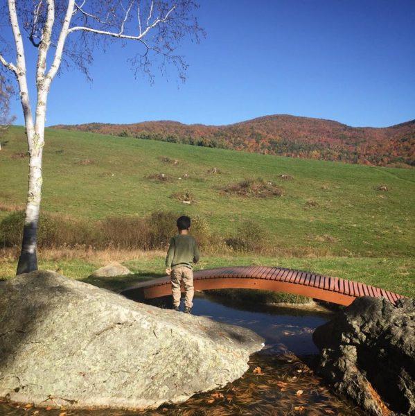 Five Vermont Surprises