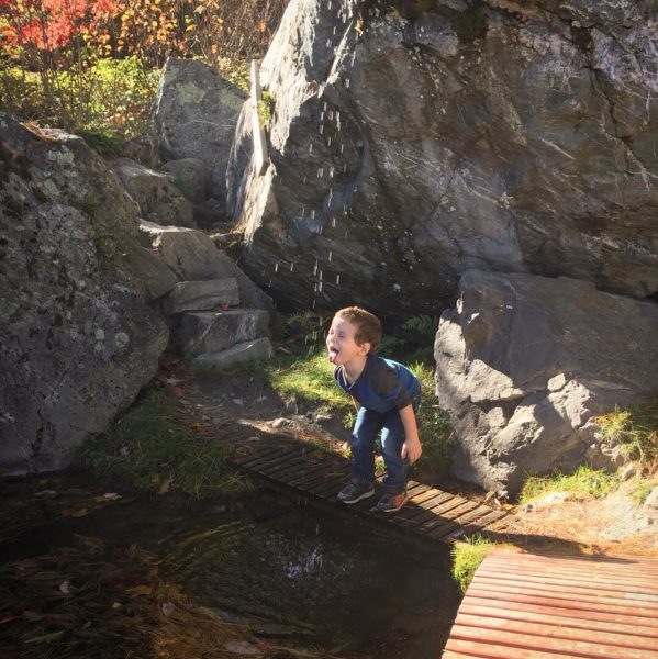 Five Vermont Surprises