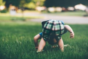 little boy smelling grass