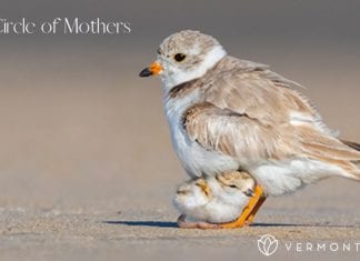 My Circle of Mothers: What Mother’s Day Means to Me