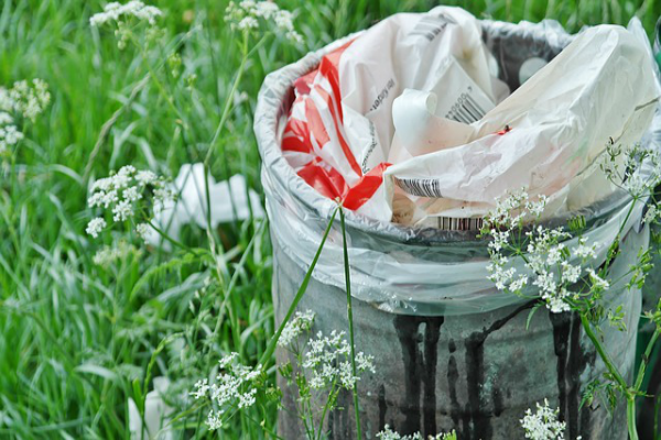 Green Up Day! Get the Whole Family Involved in Greening Up Vermont trash can in grass