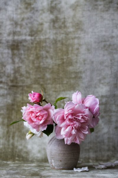 pink spring flowers in a vase, peonies