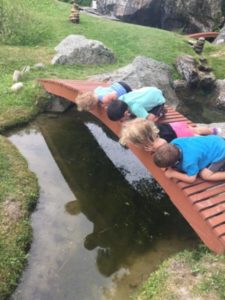 Julie's family loves to visit their favorite Vermont State Park.