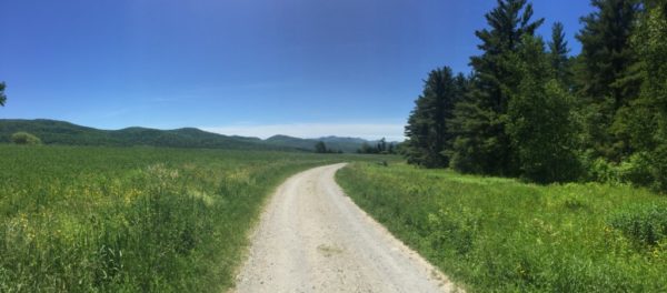 Julie's family loves to visit their favorite Vermont State Park.
