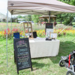 FFD moms blog – luann vermont photo (36 of 227)