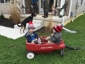 red wagon, boys