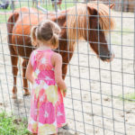 FFD moms blog – luann vermont photo (140 of 227)