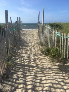 beach pathway, sand
