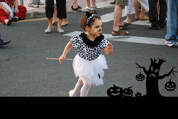 girl in a cat costume