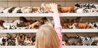 Guide to Fantastic Vermont Toy Stores to Help You Shop Local