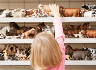 Guide to Fantastic Vermont Toy Stores to Help You Shop Local