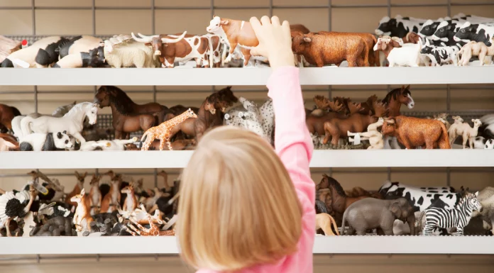 Guide to Fantastic Vermont Toy Stores to Help You Shop Local