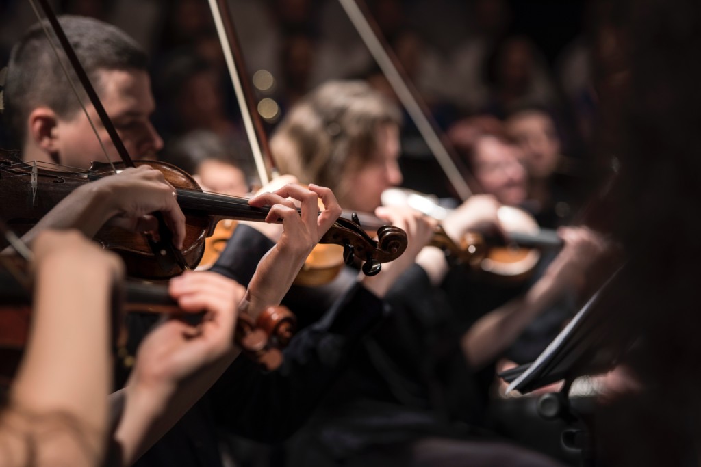 violin, concert, band, harmony, playing, music, symphony