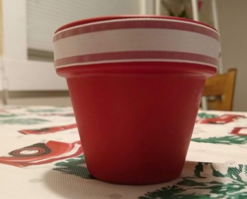terra cotta pot for pine cone crafts